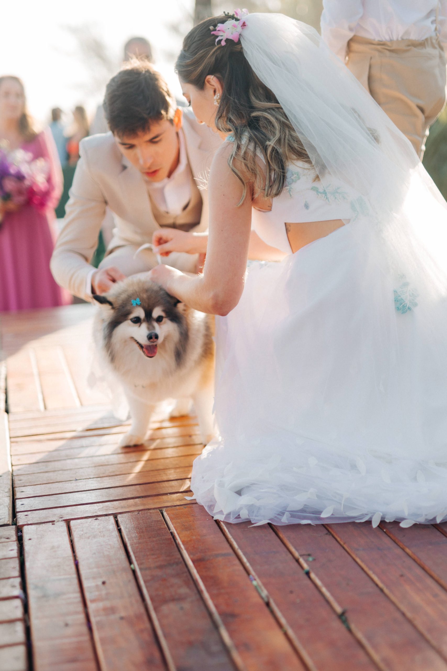 Pet entra em cerimônia de casamento com alianças | Foto: Felipe Sales Fotógrafo