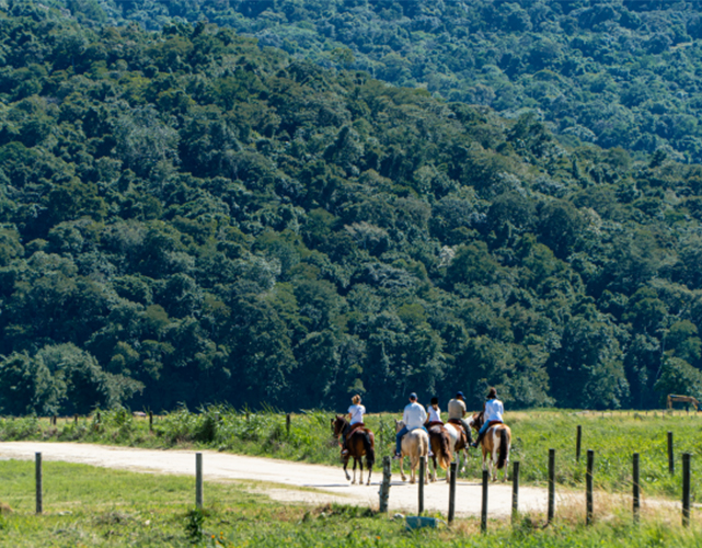 Passeio a cavalo | Foto: Reprodução 