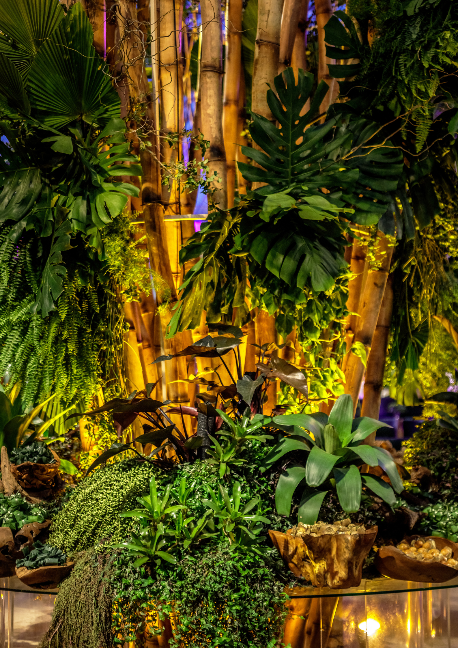 Tropical Chique | Foto: Rodrigo Sack