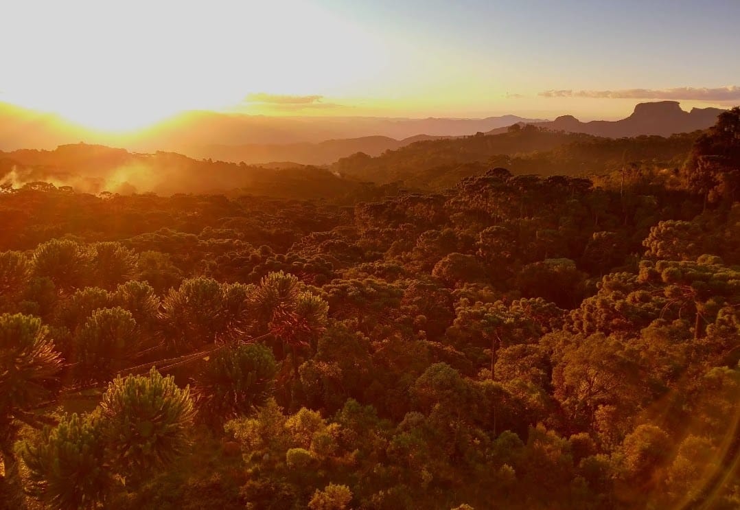 Amanhecer dourado na Serra da Mantiqueira | Foto: acervo local