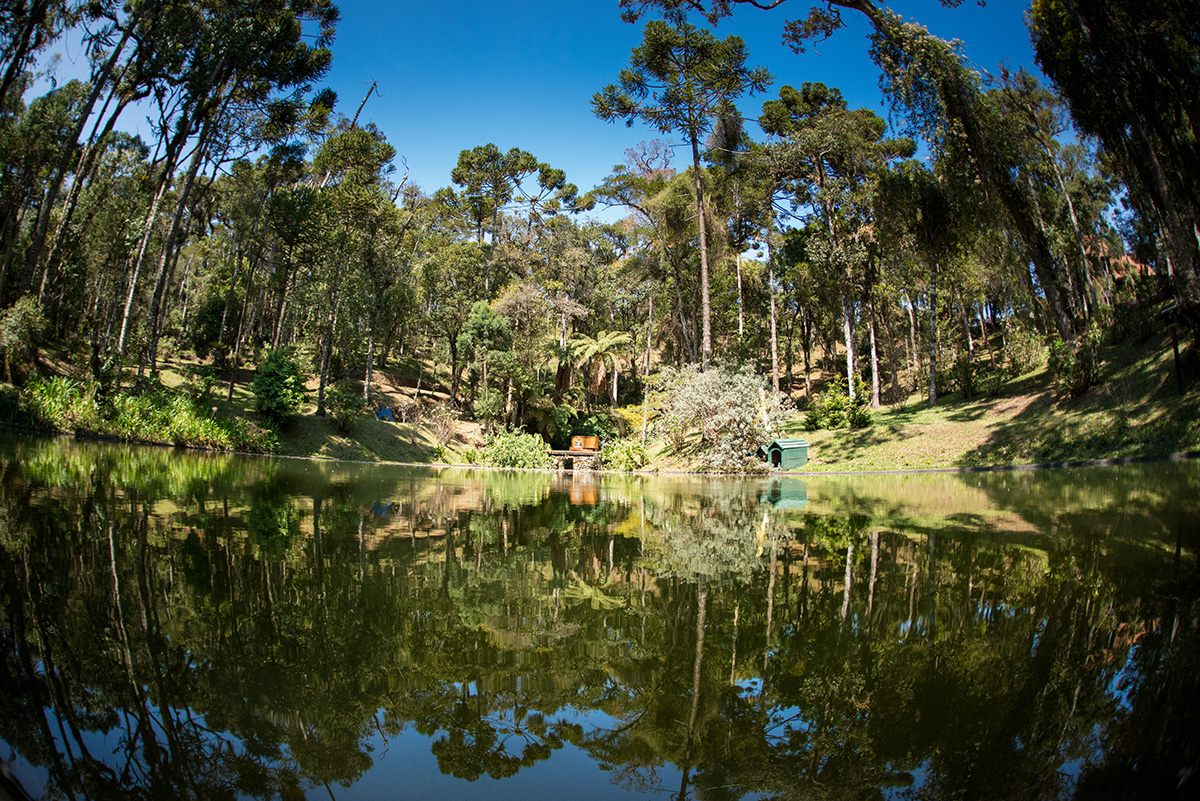 Lago cercado por araucárias | Foto: acervo local