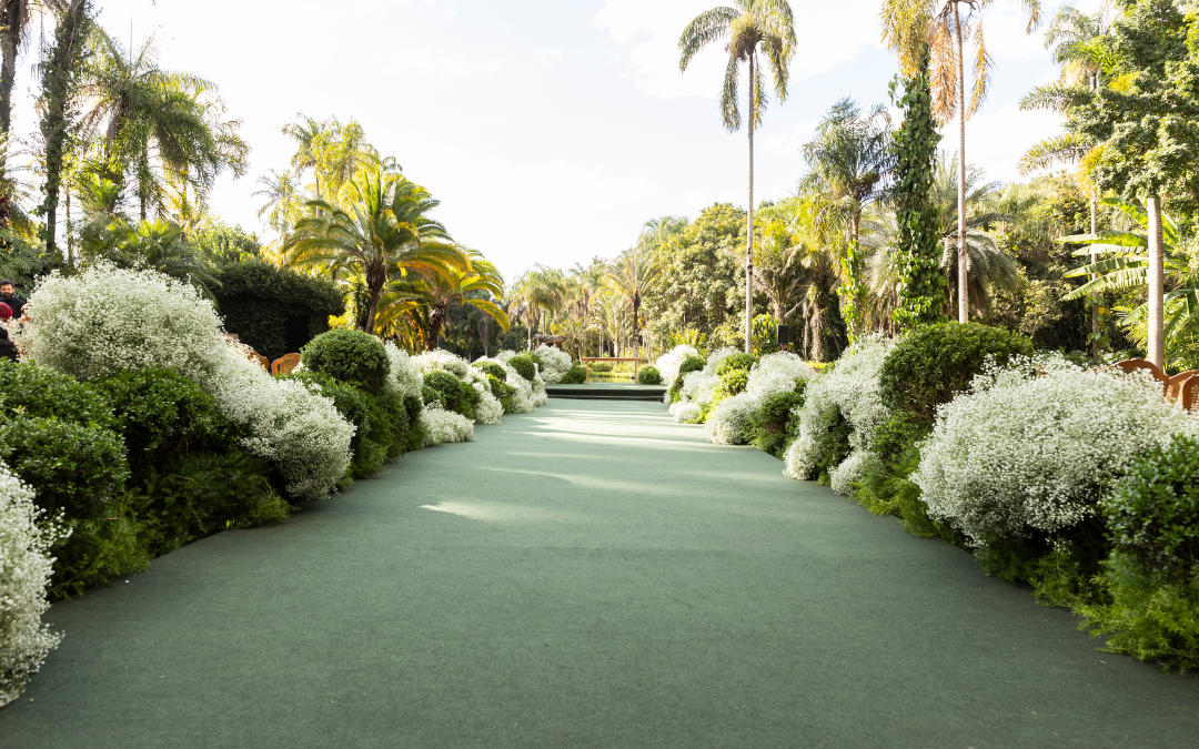 Foto: Monjardim Noleto