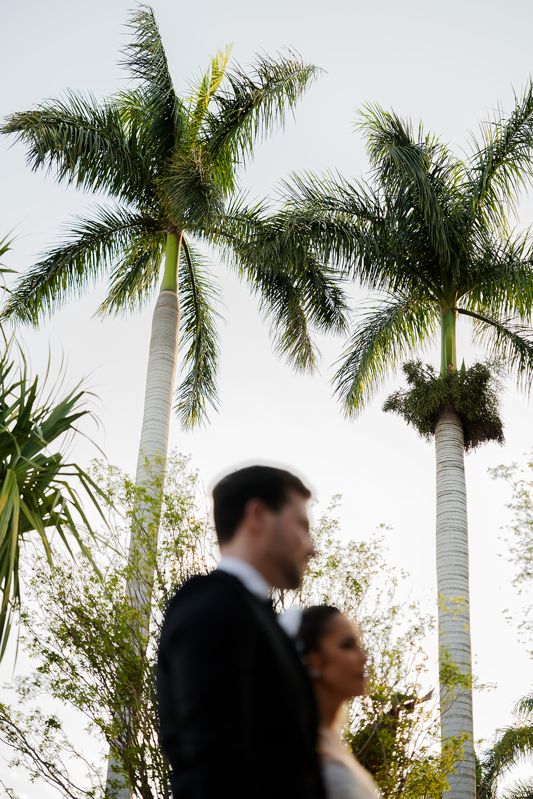 Carolina e Raul celebram casamento com oliveiras, música e referências à história da família