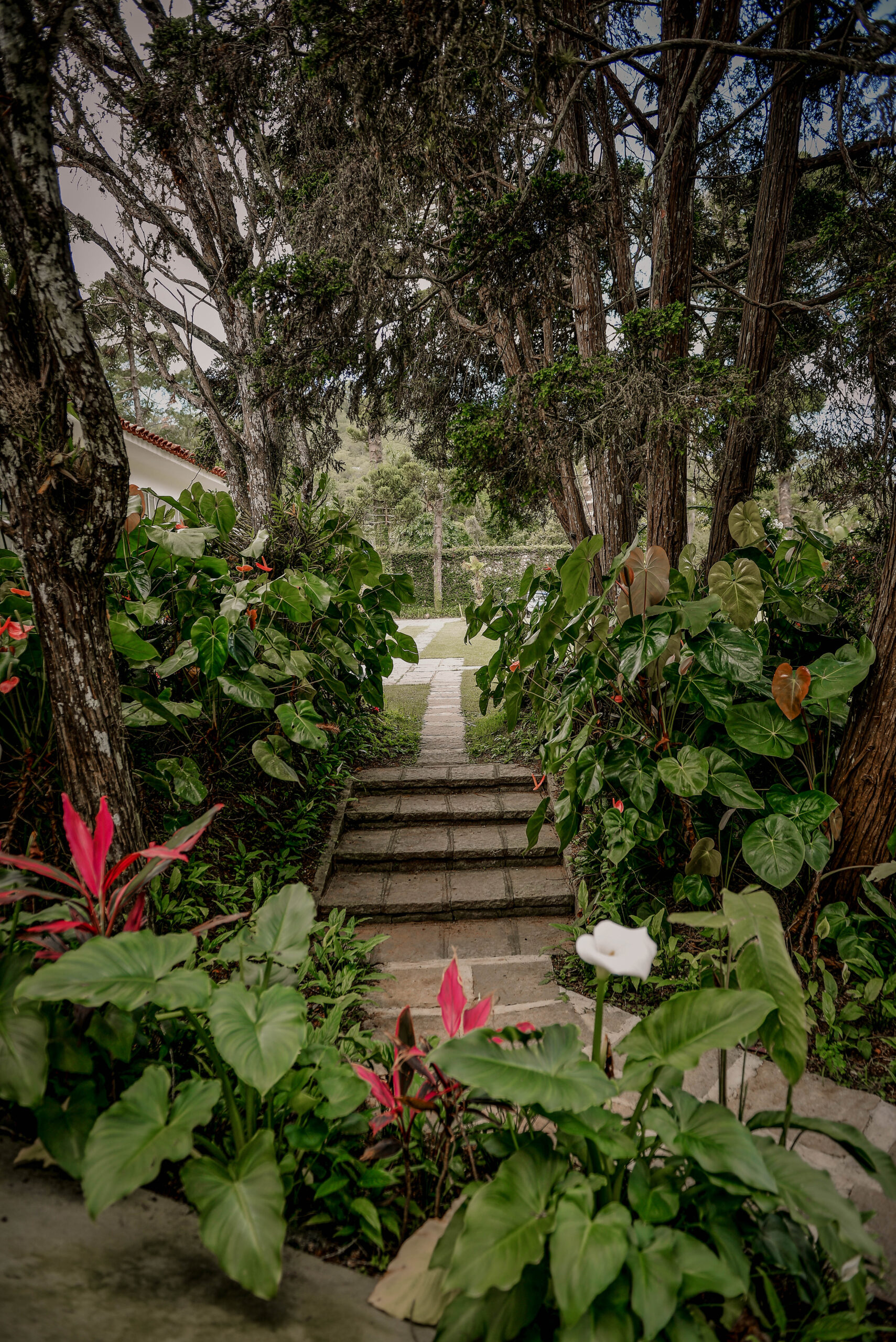 Caminhos entre jardins revelam diferentes possibilidades para circulação e fotografias | Foto: Acervo local