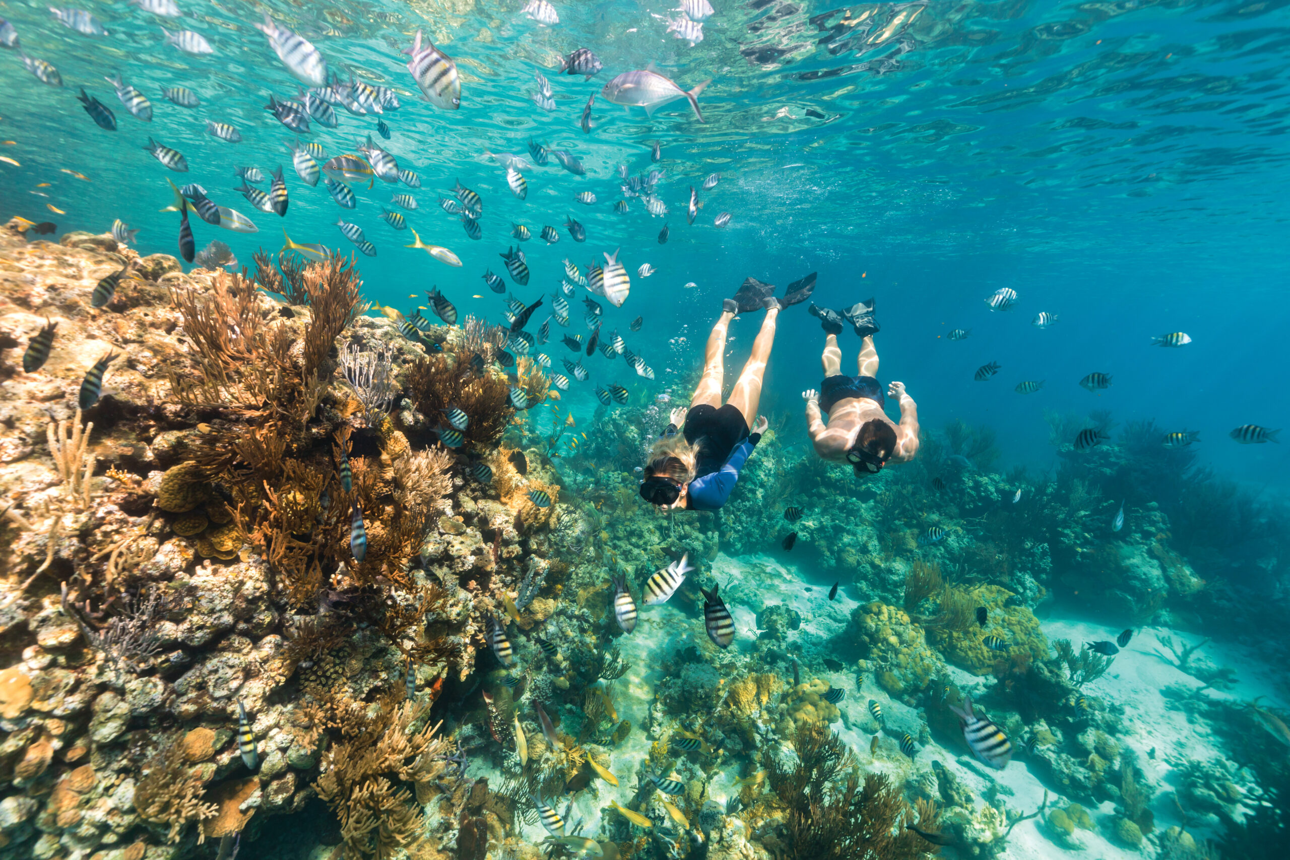 Casal pratica snorkeling entre recifes de corais e cardumes de peixes coloridos nas Bahamas. | Foto: The Bahamas Ministry of Tourism (BMOT)